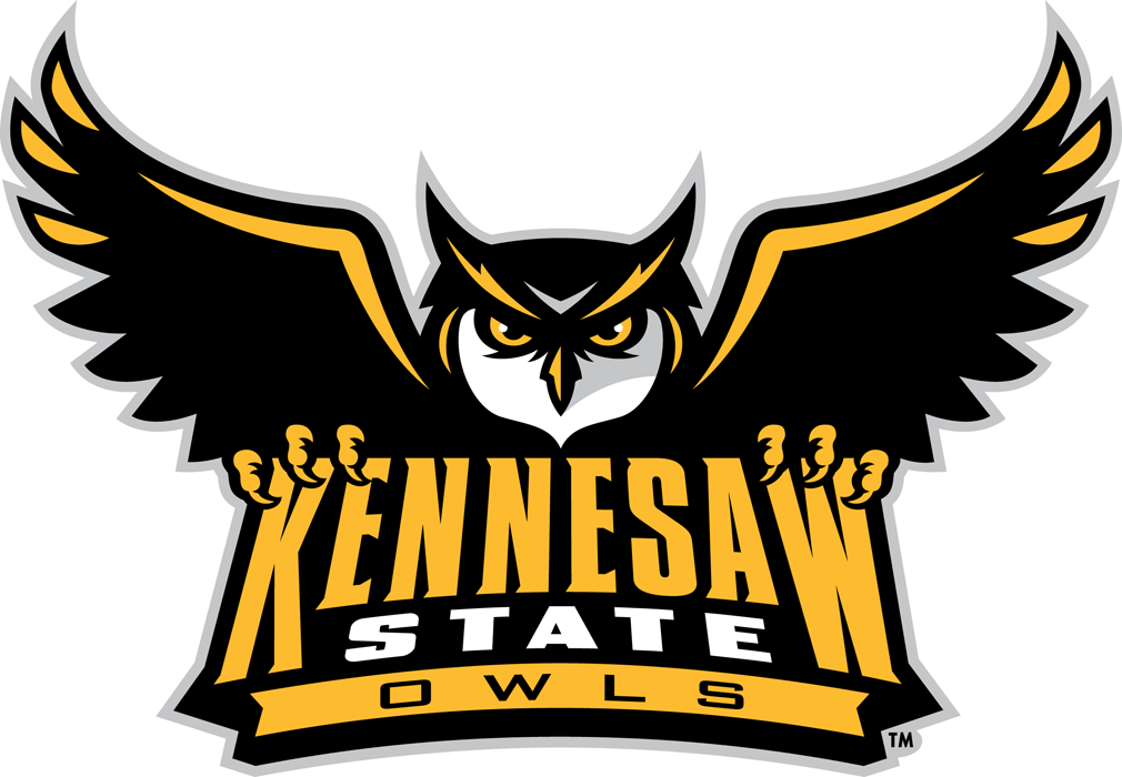Kennesaw State Owls 2012-Pres Primary Logo diy iron on heat transfer